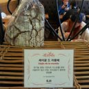 라몽떼 이미지