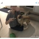 깨미네