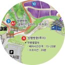 [강원/동해] 2025년 무릉별유천지 라벤더축제 방문 후기
