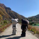 엄지마을 이미지