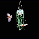 산새들과 하루 이미지