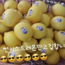 Tea story (티스토리) 이미지