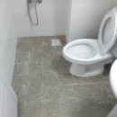 대동늘푸른빌 이미지