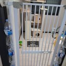 대학동-27 | 관악 대학동 가정폐기물 처리 생활공간 속 냉장고·고양이 용품 정리 사례