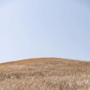 새별오름 이미지