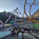 킹콩놀이샵 이미지