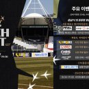 둥지여행사 베스트일레븐