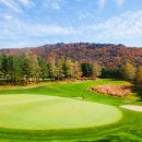 원 골프 이미지