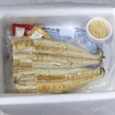 동진강 민물장어 이미지