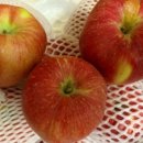 어울농장 이미지