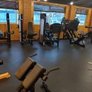 바디닥터짐 이미지