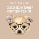 가온펫(안심분양센터) | 강아지 갑자기 짖어요 강아지 불안해요 반려동물분양 홍제동애견분양 가온펫