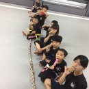 능곡합기도검무관 이미지