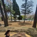 착한 돼지촌