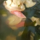 궁중김치찌개 이미지