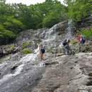 참새미골 이미지