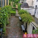베토벤하우스 네이버블로그