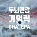죽전오징어