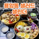 샐린더용암 | 청주 용암동 샐러드, 포케 맛집 샐린더 용암금천점