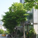 밀긋 베이커리 네이버블로그