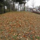 동부체육관 이미지