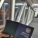 NAVRUZ(나부르즈) | (4.29~5.2) 3박4일 중국 상하이 여행일정/후기 기록