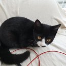 제일종합동물병원 이미지