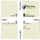 한국아트벨리댄스협회 이미지