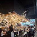 스시하나미 | 광교맛집&amp;상현맛집[하나미스시] 회전초밥 뿌수고 온 내돈내산 후기🍣✨