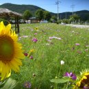 소원면주민자치센터 이미지