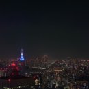 신주쿠 | 도쿄도청 전망대 야경 후기 | 신주쿠역 근처 무료 도쿄 야경 명소 추천