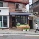 파토리아누오바 이미지