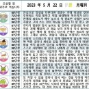 2023년 5월 22일 운세 및 세상 소식 이미지