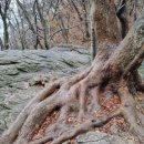 덕신세탁소 이미지