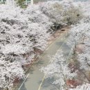 뉴스로 보는 인천 이미지