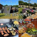 아산 애견동반 바베큐장 스테이그린 아산 아이와 가볼 만한 곳 독채 바베큐장