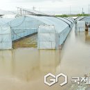 광릉수목원로 이미지