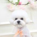 이따봐요 이미지