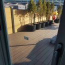 로뎀프리 이미지