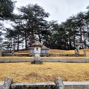 거북이자동차나라 이미지