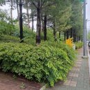 산운로160번길 네이버블로그