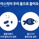 키즈빌리지 이미지