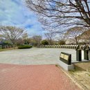 중앙공원(자전거교실) 이미지