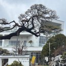 [내 돈 내산] 동탄 대형카페 골드 헤겔 명장 홍종흔베이커리 본점 후기
