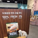 웰니스 애견 미용실 스타필드 수원점 이미지