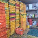 초이스농장 이미지