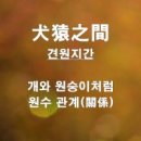 견원지간 (犬猿之間) 시절인연 (時節因緣) 이미지