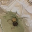 탑행복한약국 이미지