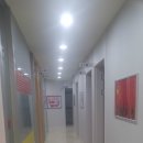 중국어(야간) 이미지