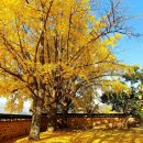 은행마을 이미지